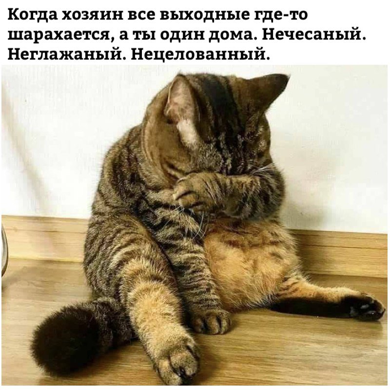 Da0Jm8GWAAAKoZd.jpg.jpeg