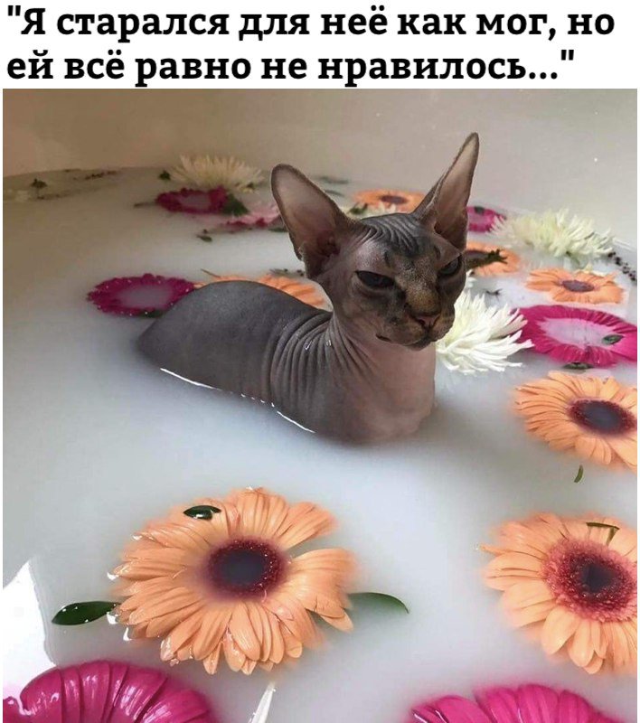 DarErpQW0AAPbYO.jpg.jpeg