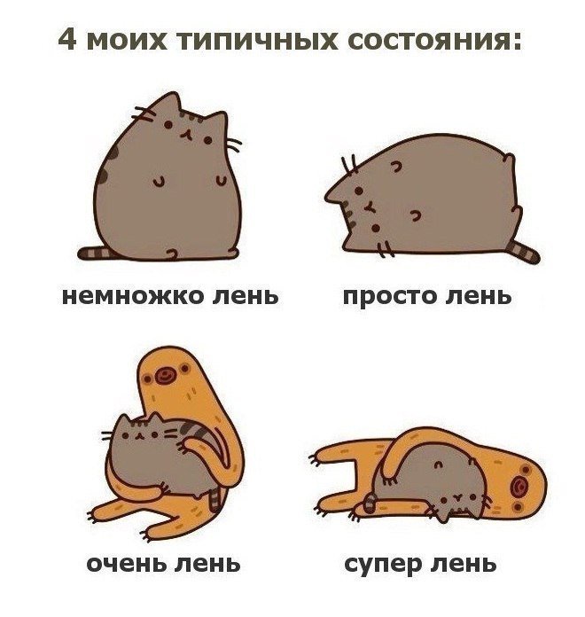 DbrpYj1W0AU_45w.jpg.jpeg