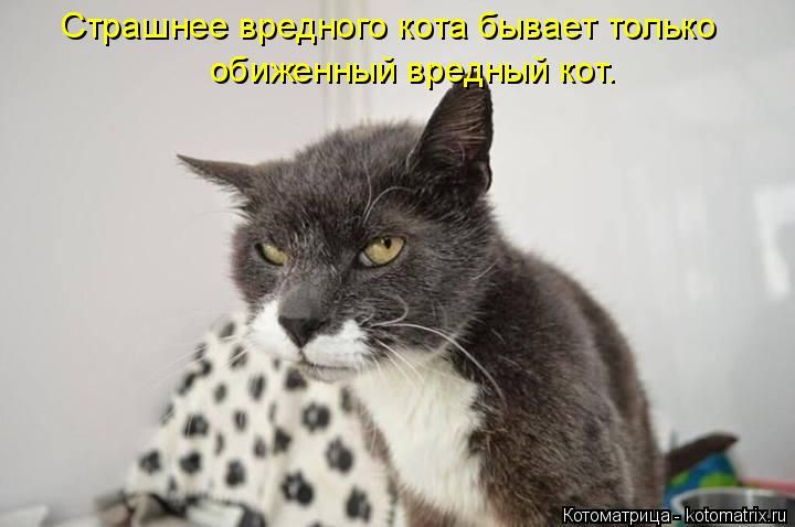 dc55585040668e00ecf06abe9b3317b3.jpg.jpeg
