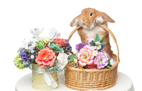 decoration-easter-paskha-happy-spring-flowers-eggs-rabbit--2.jpg.jpeg