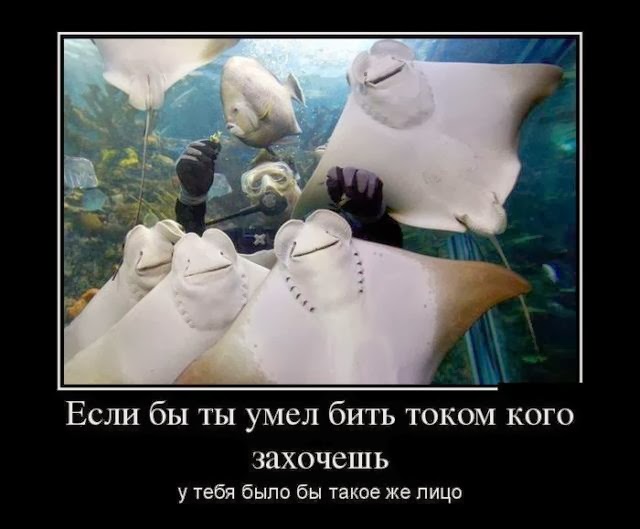 demotivators_28.jpg.jpeg