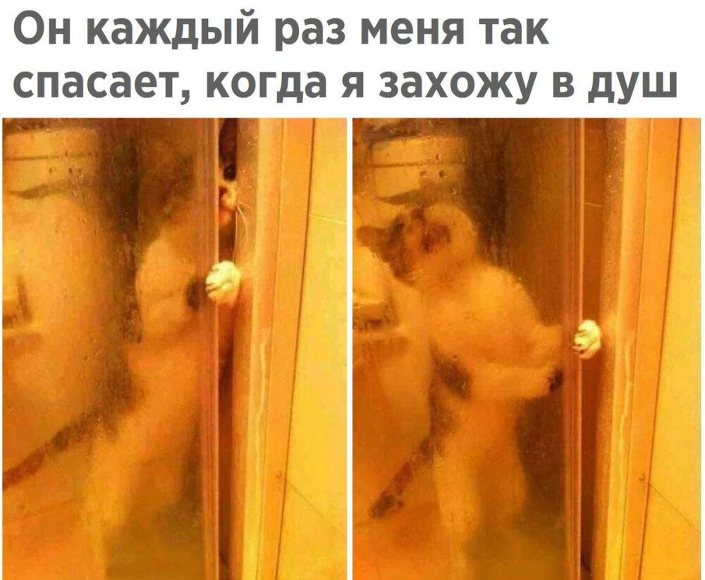 DWbFcrrXkAAfPc_.jpg.jpeg