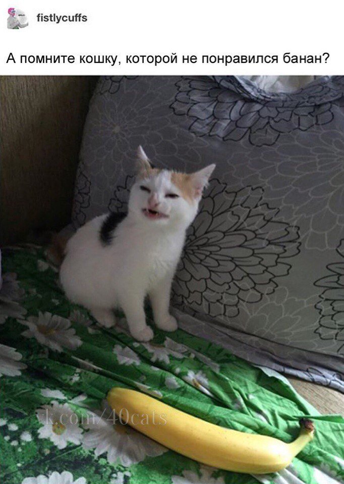 DWGFOcTWkAA07px.jpg.jpeg