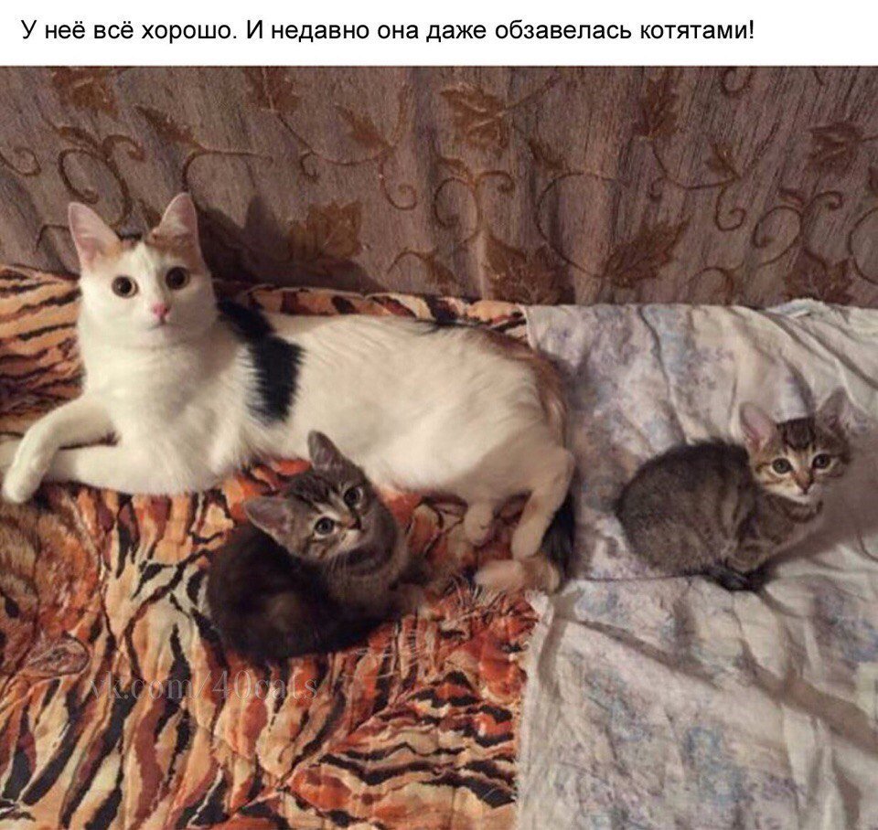 DWGFPM8WkAAsp3C.jpg.jpeg