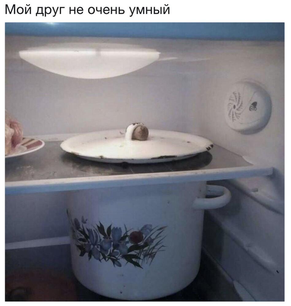 DWKek9bXUAAhVW8.jpg.jpeg