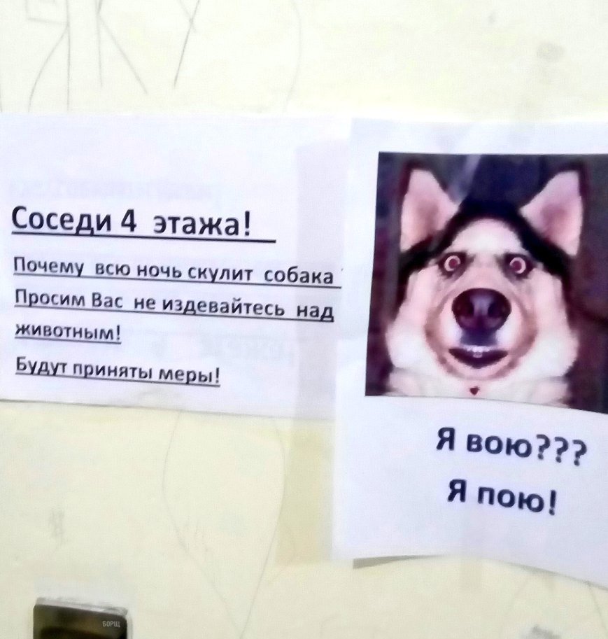DWKekSBXkAEg_Wn.jpg.jpeg