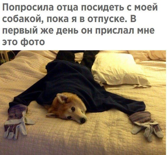 DWOzGUfVQAUMhzX.jpg.jpeg