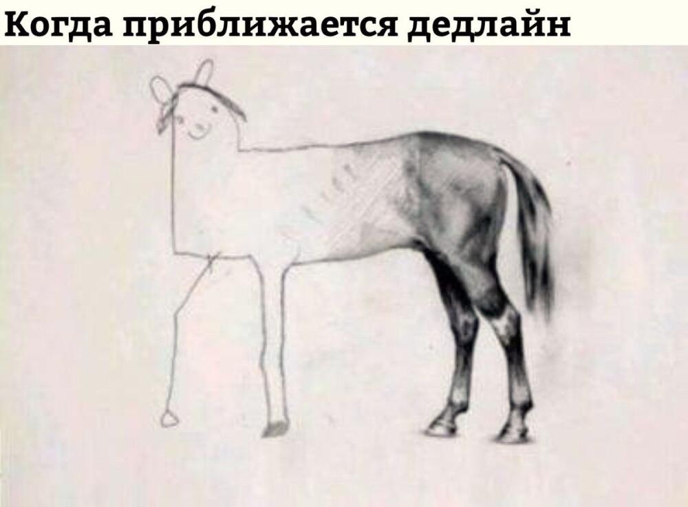 DY-ZUDxWAAAejfn.jpg.jpeg