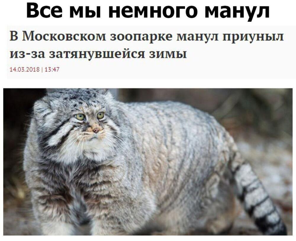 DYU6K3MX4AE6ku1.jpg.jpeg
