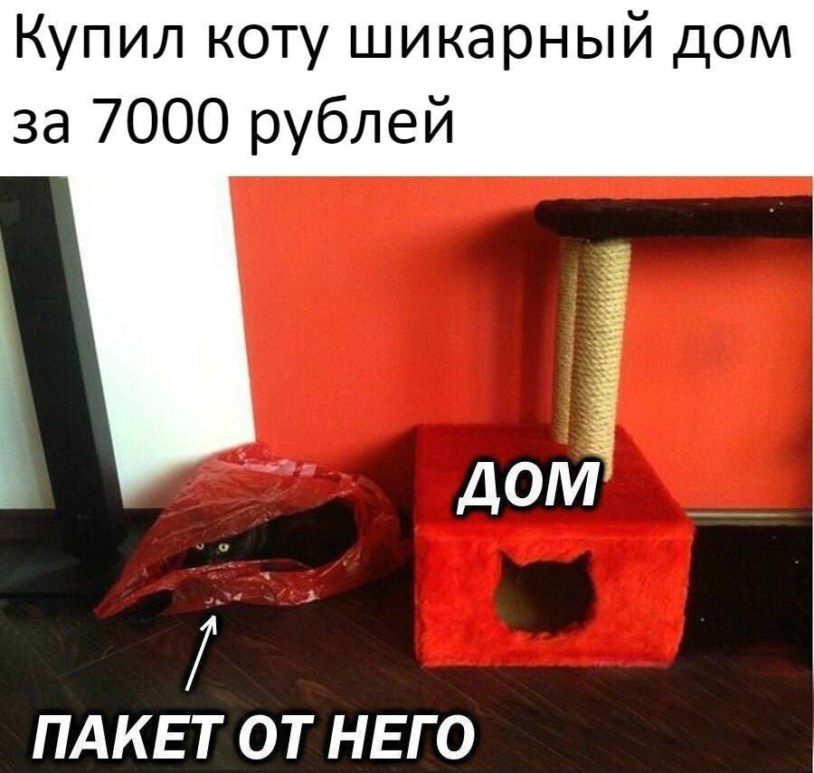 DYUVmddX0AAcdeD.jpg.jpeg