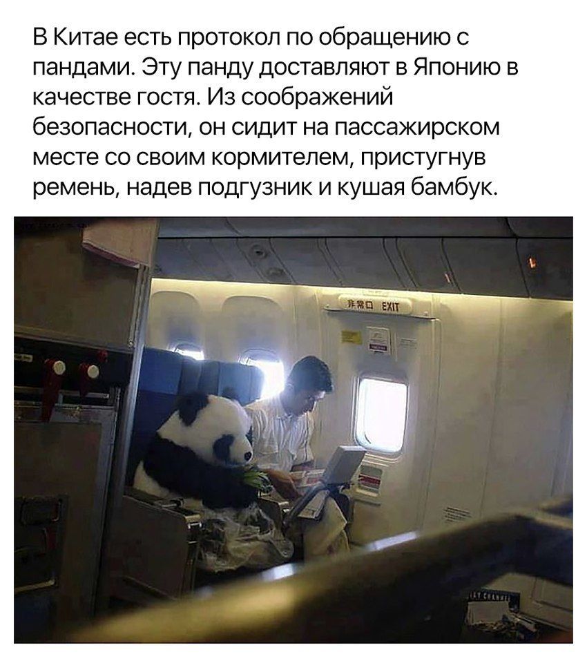 DYUzU8SXcAARKmk.jpg.jpeg