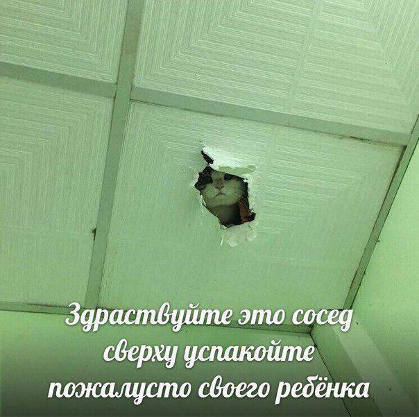 DzMbQe3XQAAScW-.jpg.jpeg