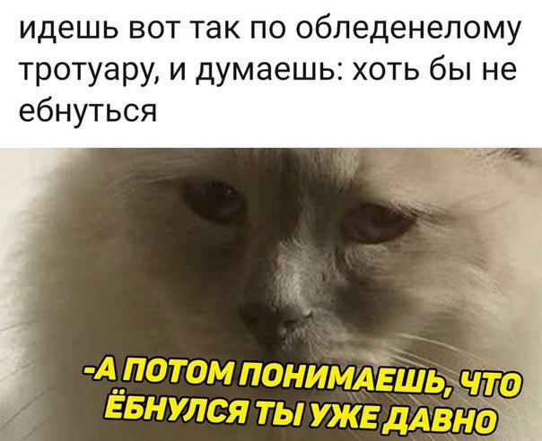 DzN8vuTX0AAYS7p.jpg.jpeg