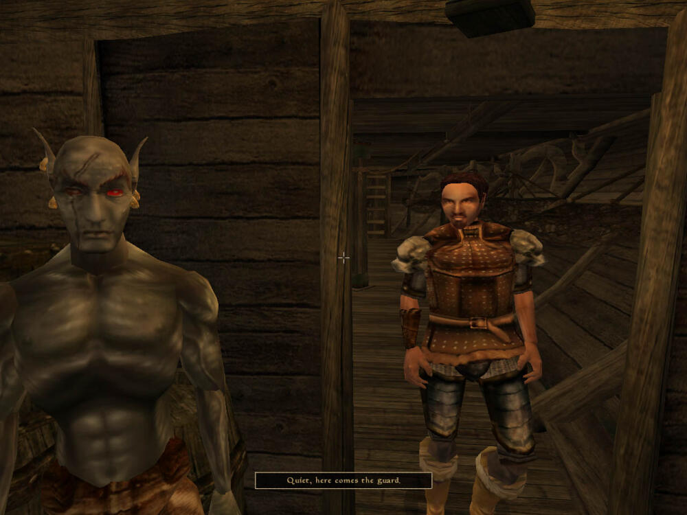 Elder_Scrolls-Morrowind_(PC)_02.jpg.jpeg