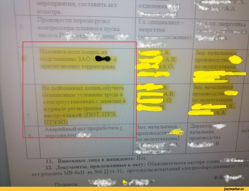 %D1%8D%D0%BB%D0%B5%D0%BA%D1%82%D1%80%D0%B8%D1%87%D0%B5%D1%81%D1%82%D0%B2%D0%BE-%D0%BA%D0%BE%D1%82%D1%8D-%D1%82%D0%B1-5526841.jpe.jpeg