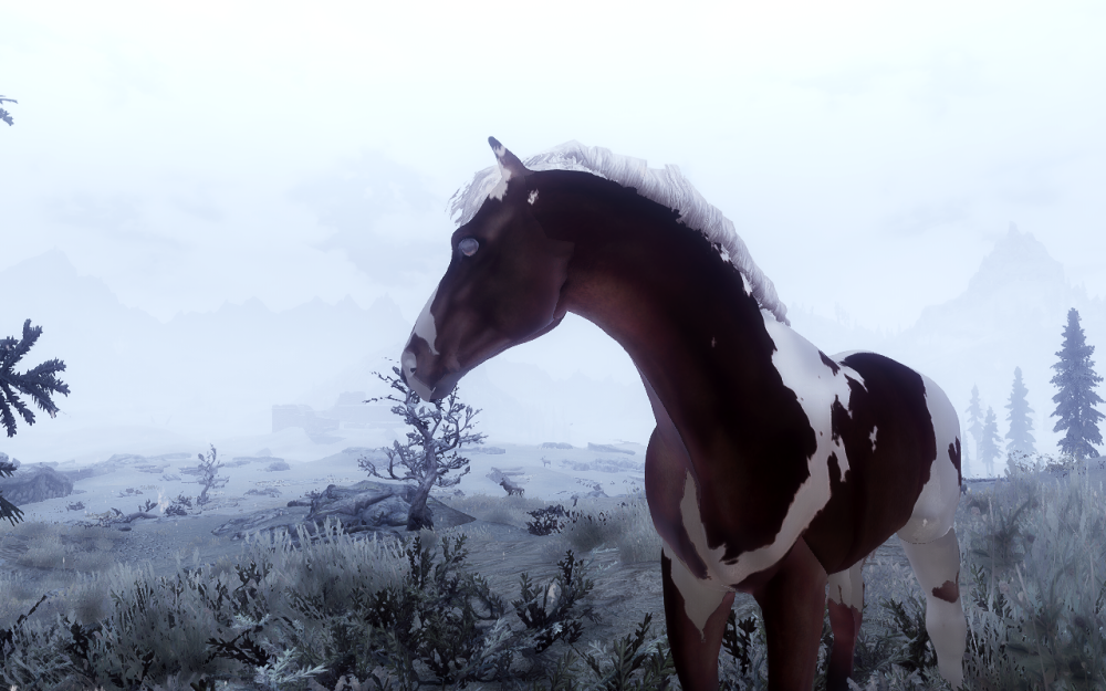 enb-2019-04-29-16-32-04-38.png.png