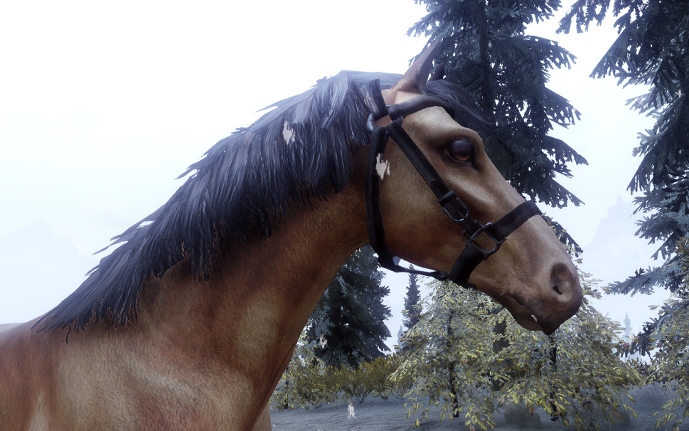 enb-2019-04-29-16-36-37-25.png.png
