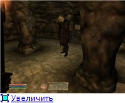 f7451f7bf239t.jpg.jpeg