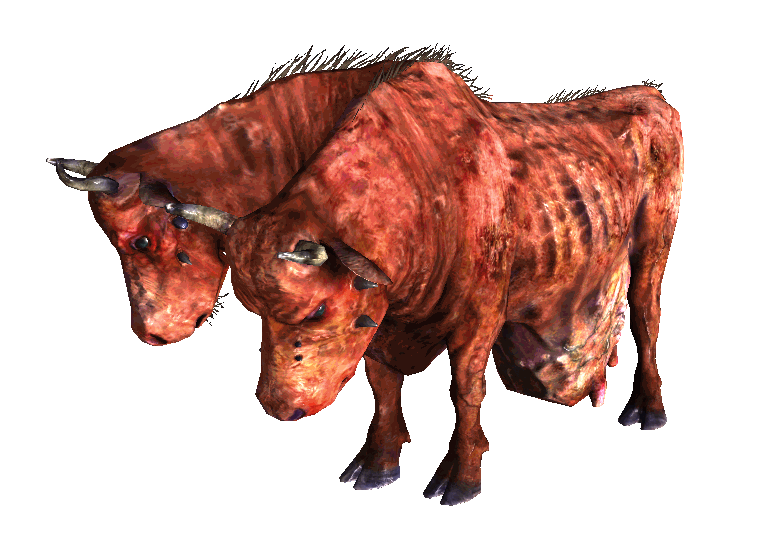 ff1140dbd204.png.webp.png