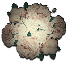 Flowers for Anna.png