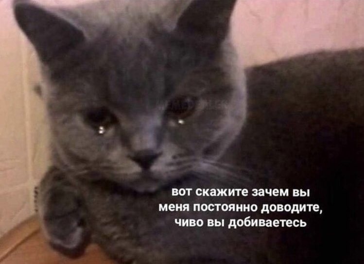 -g7rNT95h4o.jpg.jpeg