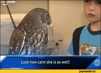 %D0%B3%D0%B8%D1%84%D0%BA%D0%B8-%D0%A1%D0%BE%D0%B2%D0%B0-2344914.gif