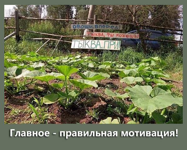 glavnoe-yeto.jpg.jpeg