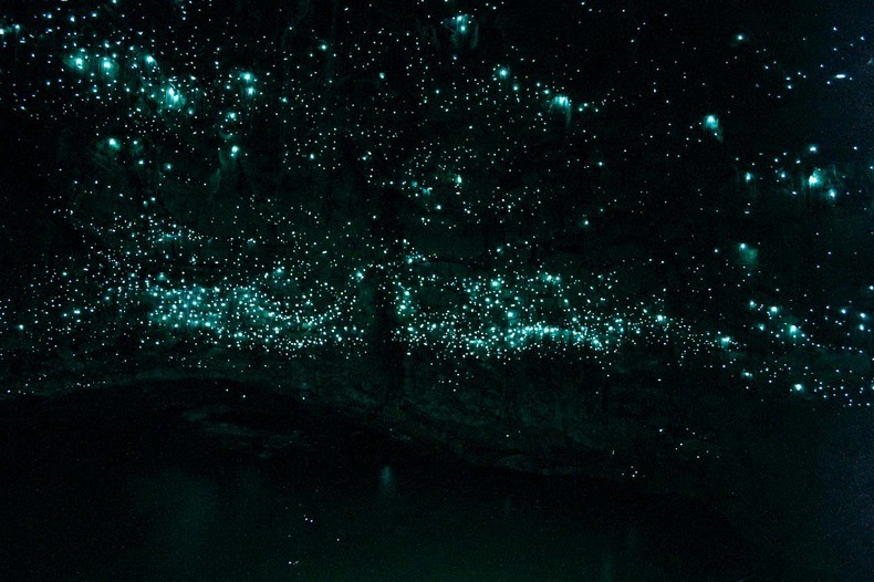 glowworm-caves-waitom-1[2].jpg.jpeg