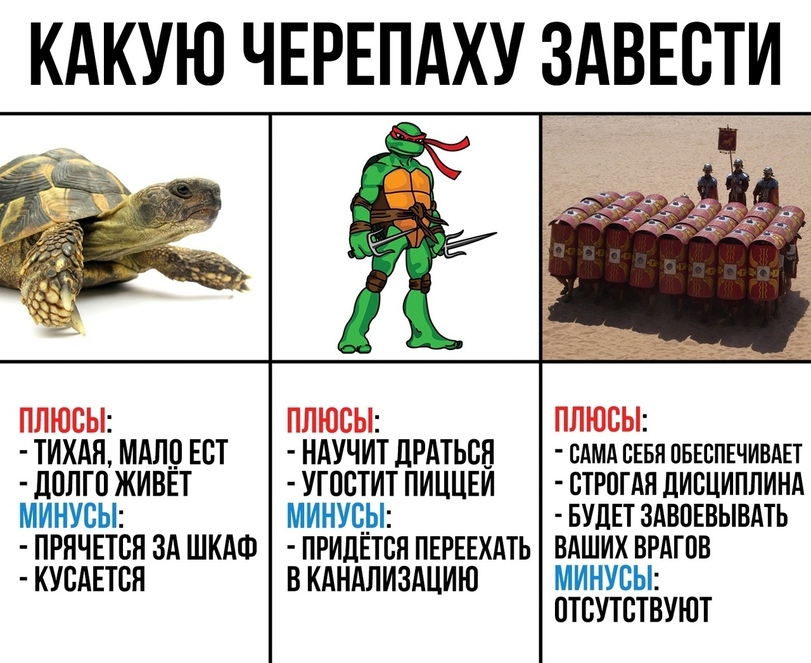 jpg.jpeg