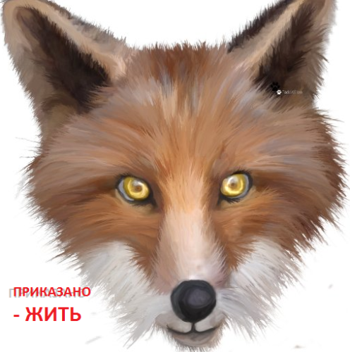 Подробнее о "ЖИТЬ - приказано !"