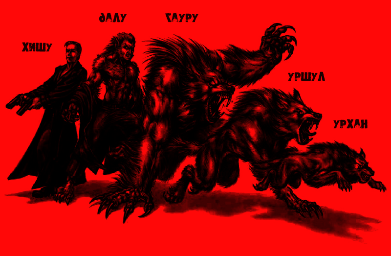 kbtq0aZ.png.png