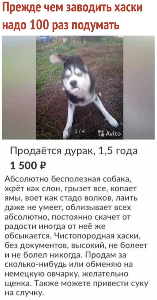 LUZAuxjH5ZA.jpg.jpeg