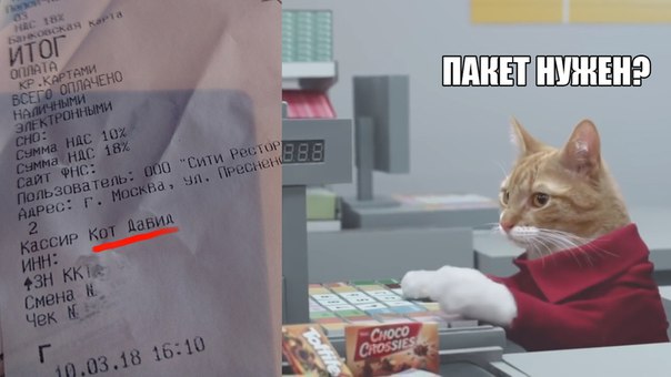 lWw3C3r4lzs.jpg.jpeg