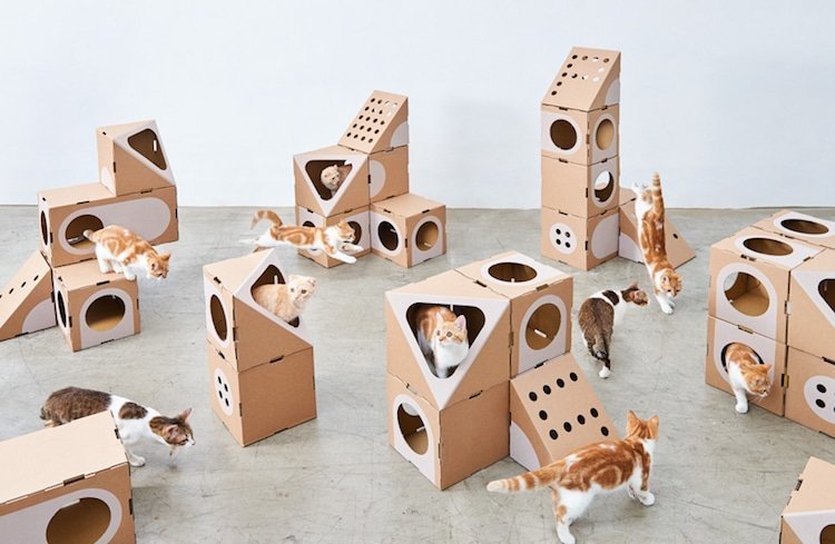 modular-cat-furniture-1.jpg.jpeg