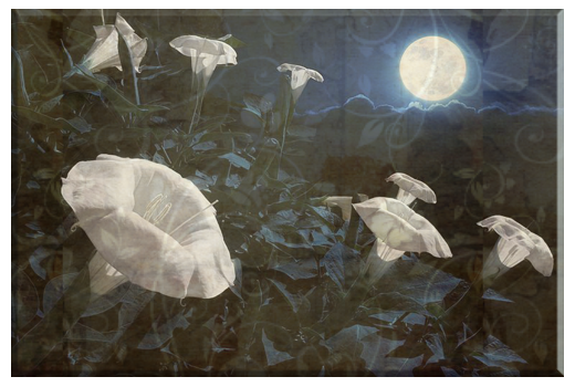MoonGarden_1500-57c725b15f9b5829f4620c68.png.png