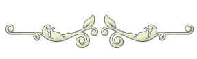 ODY470031.png.png