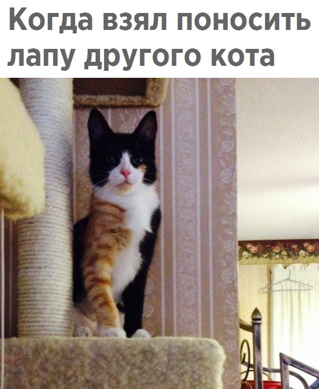 rGi-cT8o5SQ.jpg.jpeg