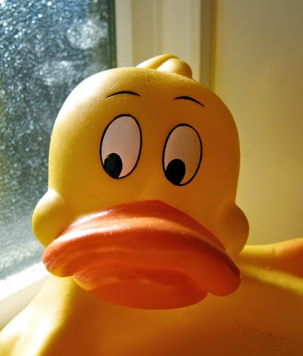 rubber_duck01.jpg.jpeg