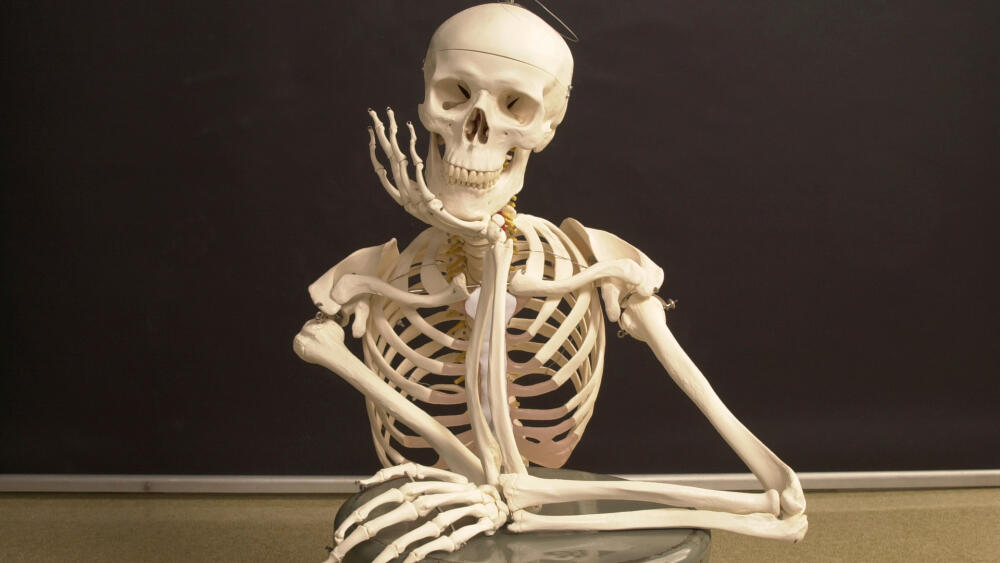 skeleton.jpg.jpeg