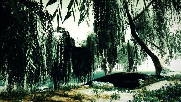 Jungle