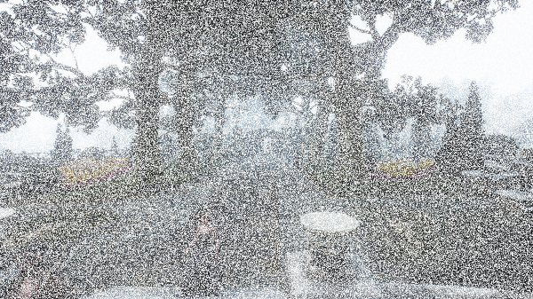 The Witcher 3 Screenshot 2019.11.02   17.05.44.42