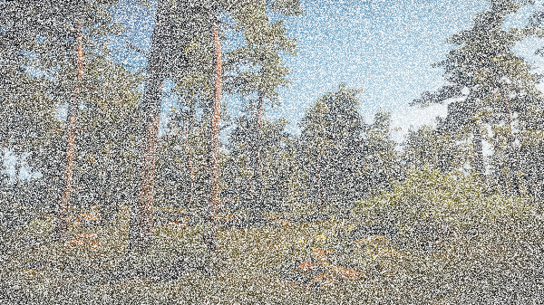 The Witcher 3 Screenshot 2019.12.02   17.34.45.61