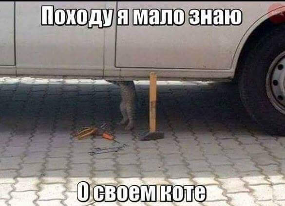 spring-humor-025.jpg.jpeg