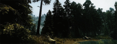 TES-gif-The-Elder-Scrolls-Skyrim-1252563.gif