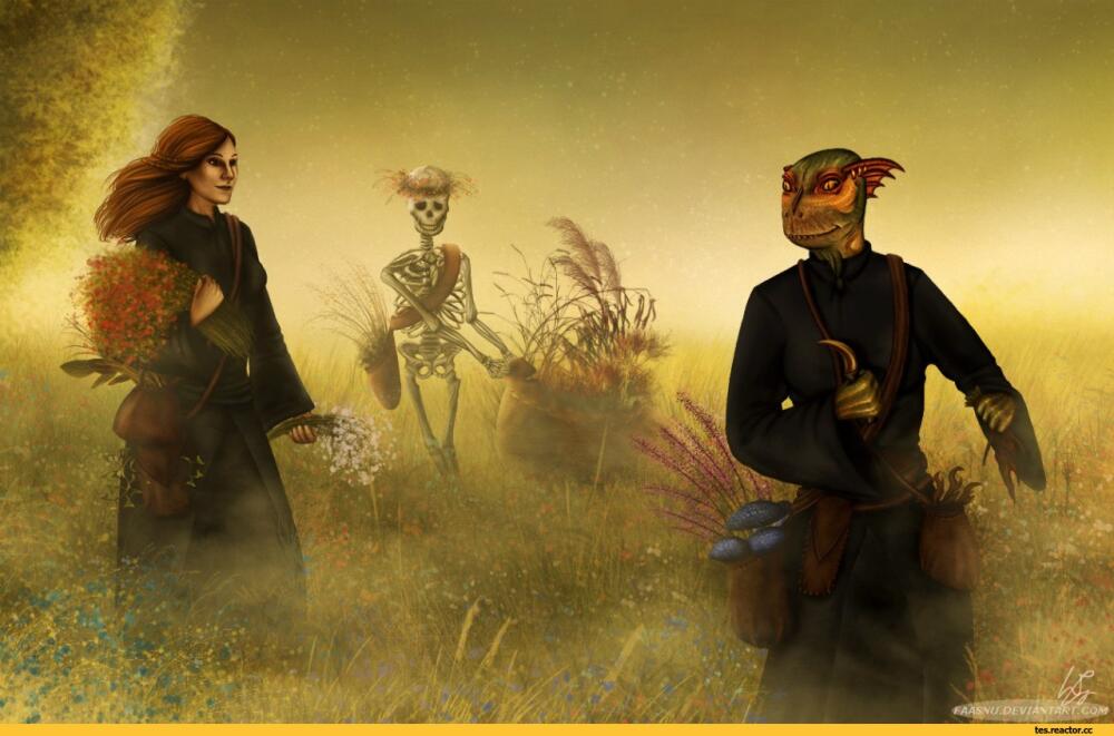 The-Elder-Scrolls-%D1%84%D1%8D%D0%BD%D0%B4%D0%BE%D0%BC%D1%8B-TES-art-Oblivion-1013518.jpeg