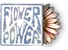 true_hippie.png.webp