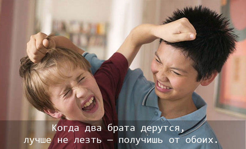 tsitatyi-pro-brata-i-sestru.jpg.jpeg
