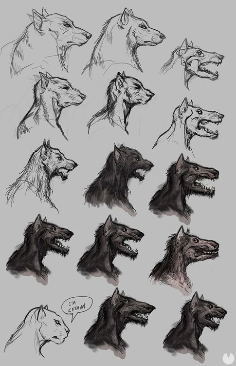 werewolf-the-apocalypse-201728174254_4.jpg.jpeg
