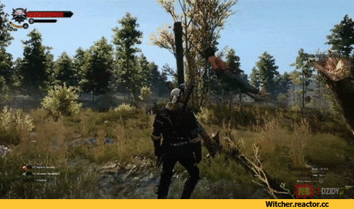 Witcher-3-The-Witcher-%D0%98%D0%B3%D1%80%D1%8B-%D0%B3%D0%B8%D1%84%D0%BA%D0%B8-2125151.gif